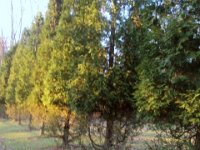 photos 2000-200901777